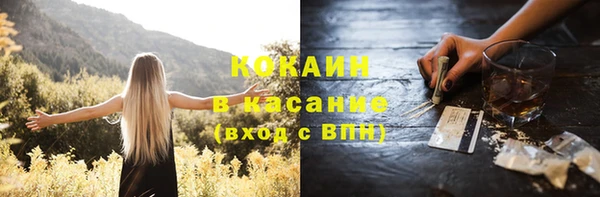 прущие грибы Абдулино