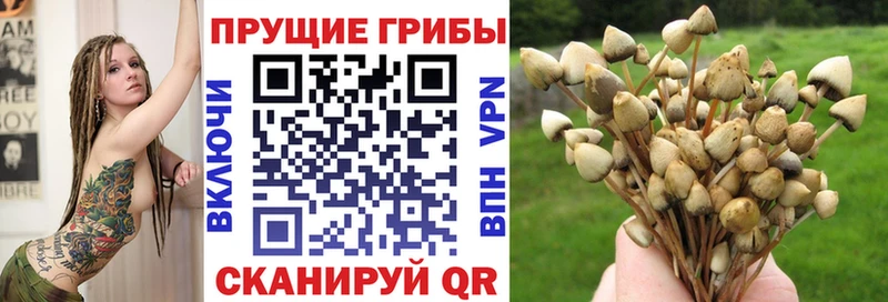 mega ССЫЛКА  Симферополь  Галлюциногенные грибы GOLDEN TEACHER  купить наркотик 